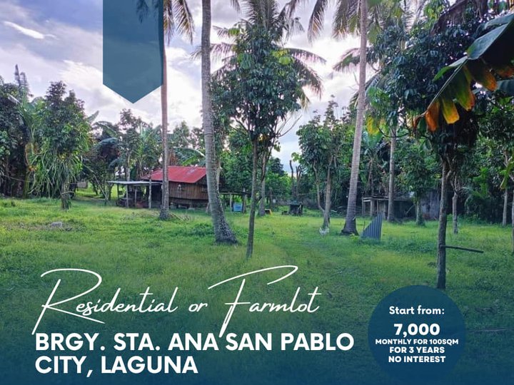 Affordable 100 SQM Residential Farm For Sale in San Pablo Laguna