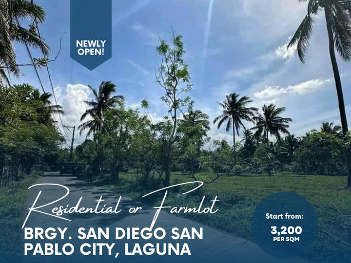 Affordable 100 SQM Residential or Farmlot in San Pablo, Laguna