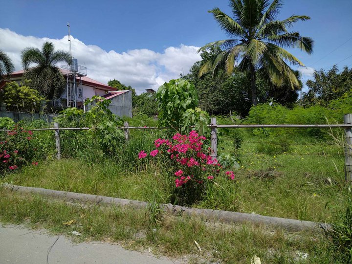 700 sqm Residential Lot For Sale in Villa Consuelo General Santos City