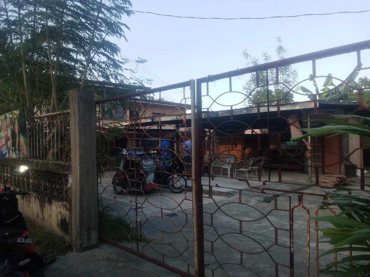 230 sqm Residential Lot For Sale in Lingayen Pangasinan