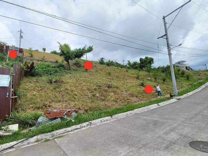Overlooking 300 sqm High End Residential Lot For Sale in Talisay Cebu