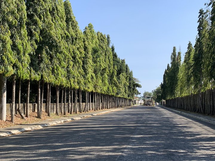 224 sqm Residential Lot For Sale in Plaridel Bulacan