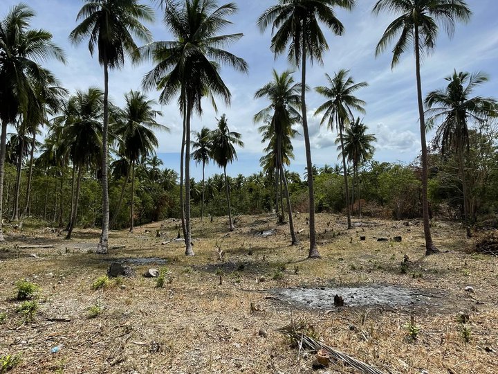 4,800 sqm Raw Land For Sale in San Juan Batangas