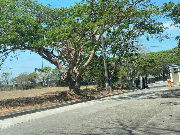 250 sqm Residential Lot For Sale in Orchard Dasmarinas Cavite