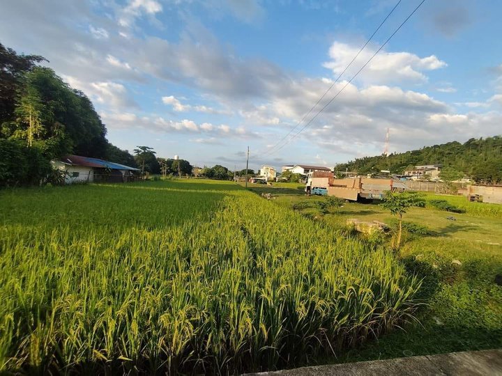 Prime Lot at San Juan, La Union - Near Surfing area