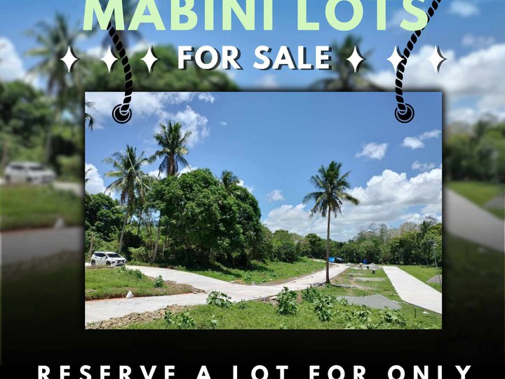 100sqm Residential/Commercial Lot for Sale in Mabini Lipa