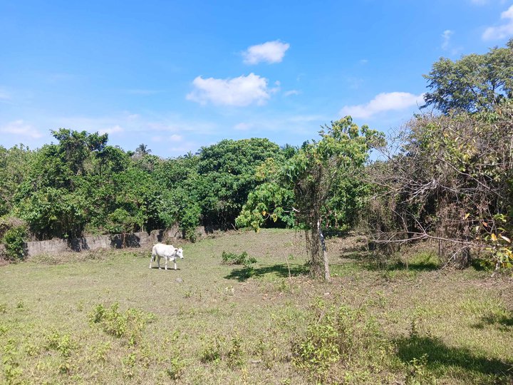 1500 sqm Lot For Sale in Daine II, Indang Cavite