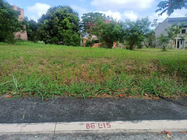 120 sqm Residential Lot For Sale in Dasmarinas Cavite