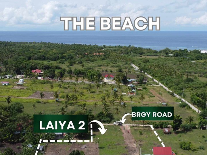 166sqm Residential Farm Lot for Sale in Laiya-2 (San Juan)
