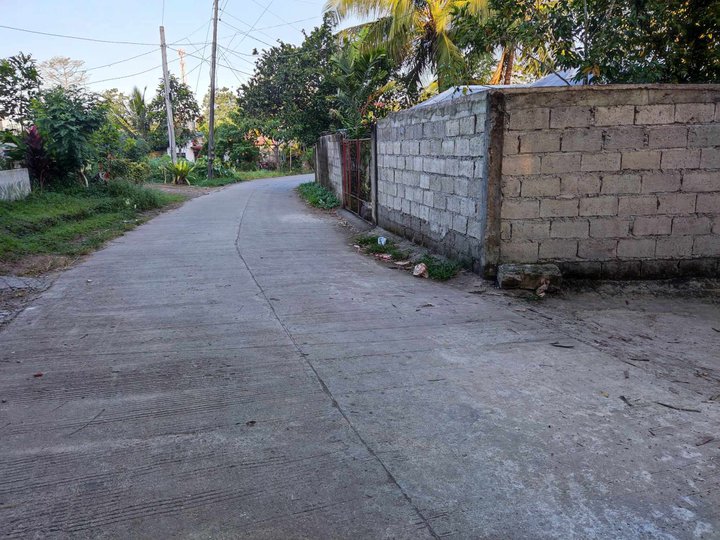 1-bedroom Single Attached House For Sale in Kananga Leyte
