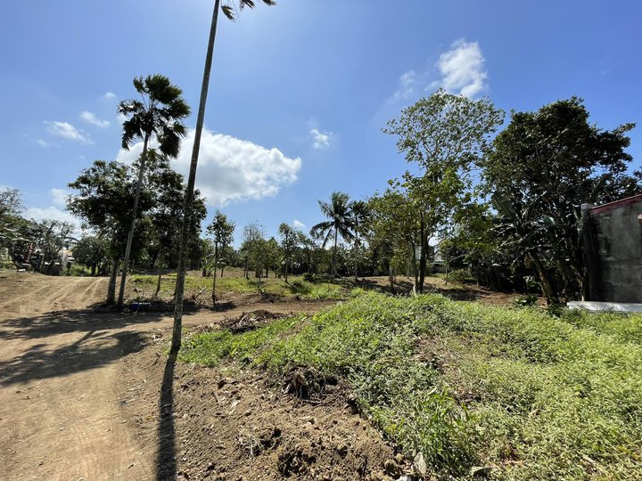 120 sqm Residential Farm For Sale in Silang Cavite