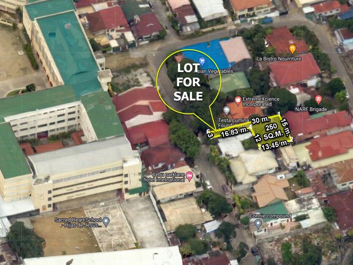 COMMERCIAL LOT FOR SALE IN KAMPUTHAW CEBU CITY