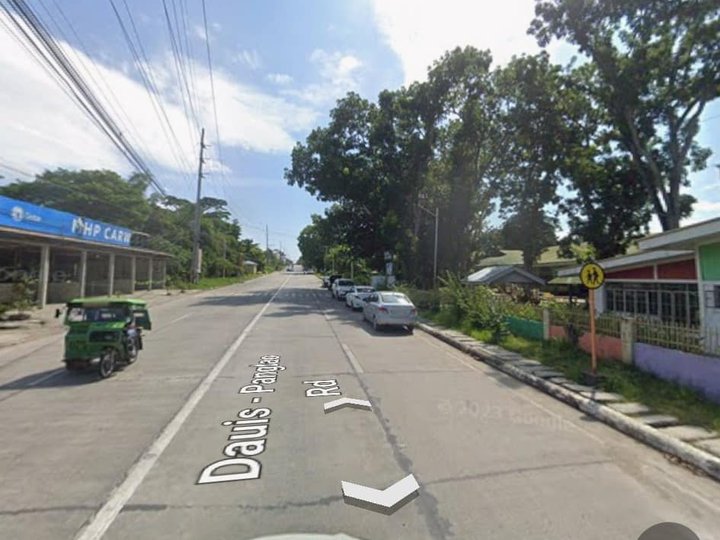 210 sqm Commercial Lot For Sale in Dauis Bohol