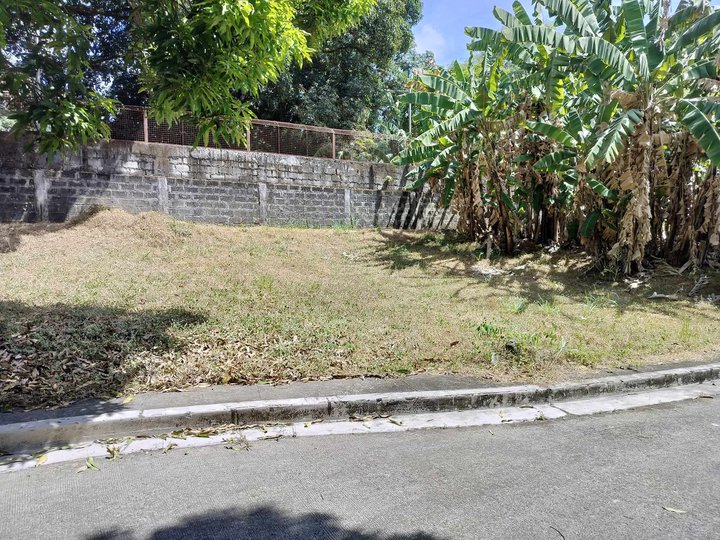 Lot Only For Sale In Glenrose Taytay Rizal