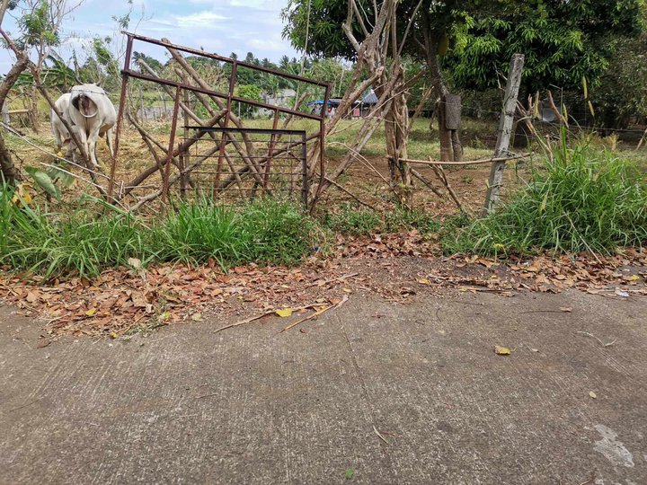 1,000 sqm Residential Farm For Sale in Alfonso Cavite