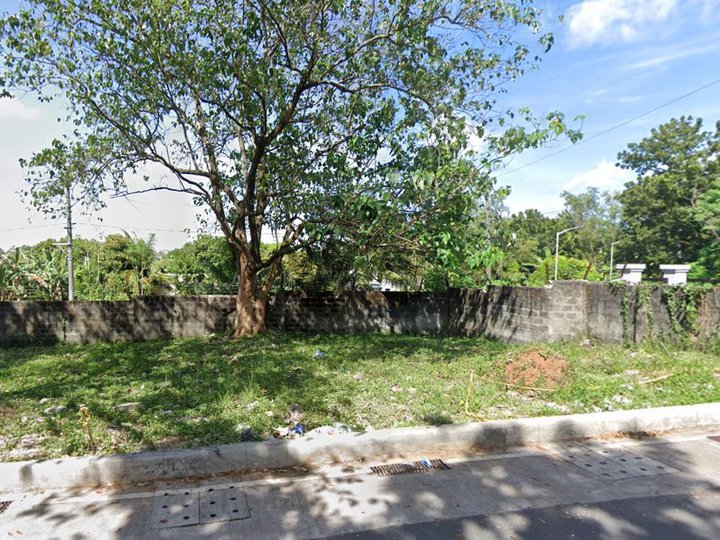 CORNER! 137 sqm Commercial Lot For Sale near PAREF Rosehill, along Botong Francisco Rd. Antipolo