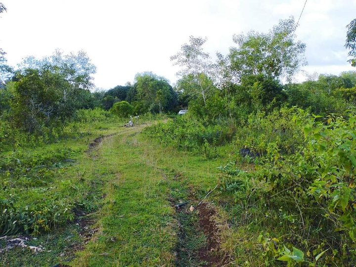930 sqm Residential Lot For Sale in Panglao Bohol