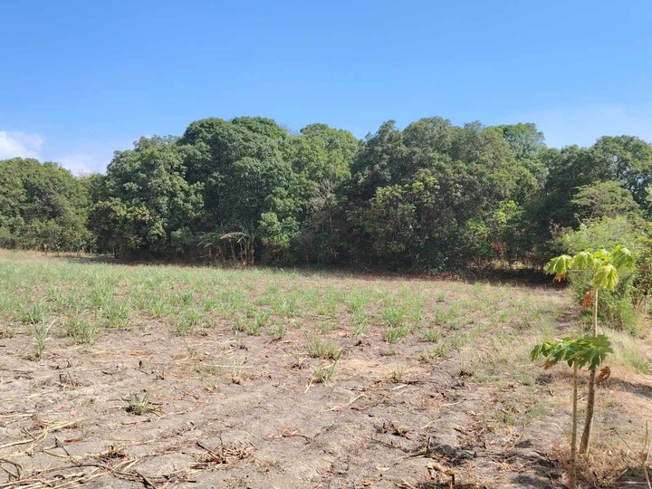 2,089 sqm Agricultural Farm For Sale in Calatagan Batangas