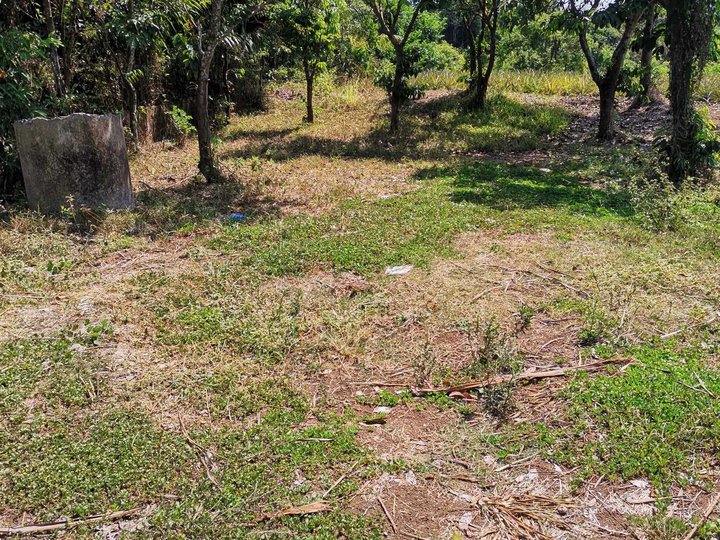 1,000 sqm Residential Farm For Sale in Alfonso Cavite