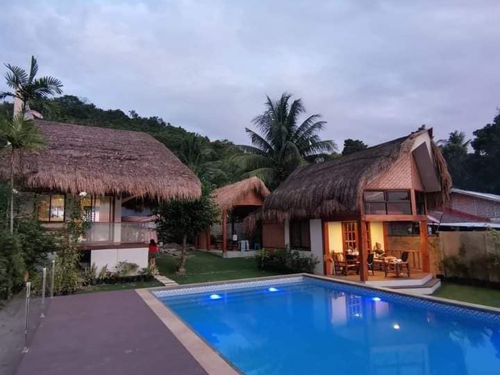 991 sqm Beach Property For Sale in Samboan Cebu