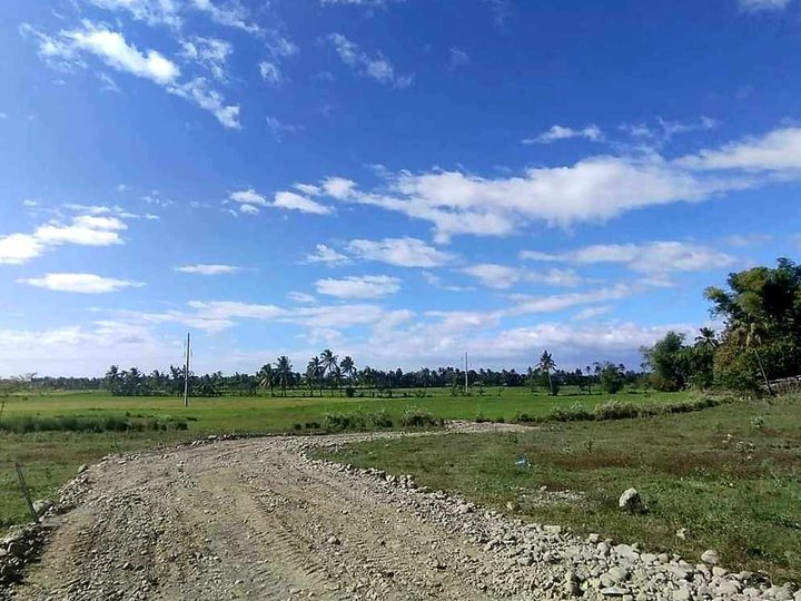 200 sqm Residential Lot For Sale in Tibiao Antique