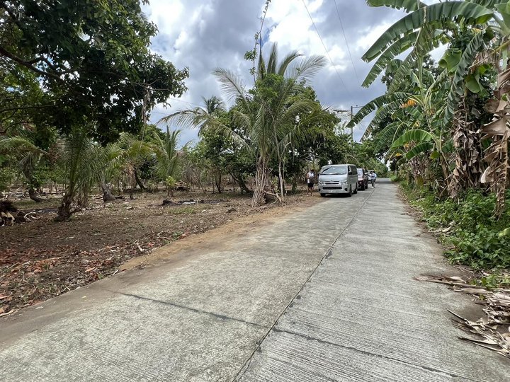 500sqm Fruit Bearing Farm Lot for sale in Bailen Cavite