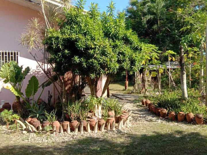 1,899 sqm Residential Lot For Sale in Cot-cot, Liloan, Cebu