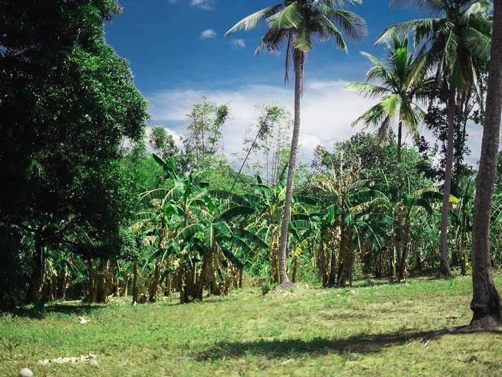 PinakaMurang Lot for Sale sa Banaba Lejos Indang Cavite