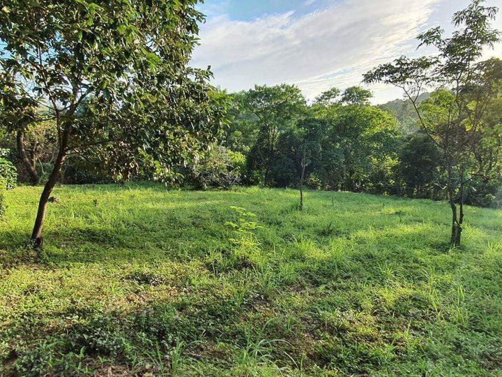 2,691 sqm Lot For Sale By Owner in Antipolo Rizal