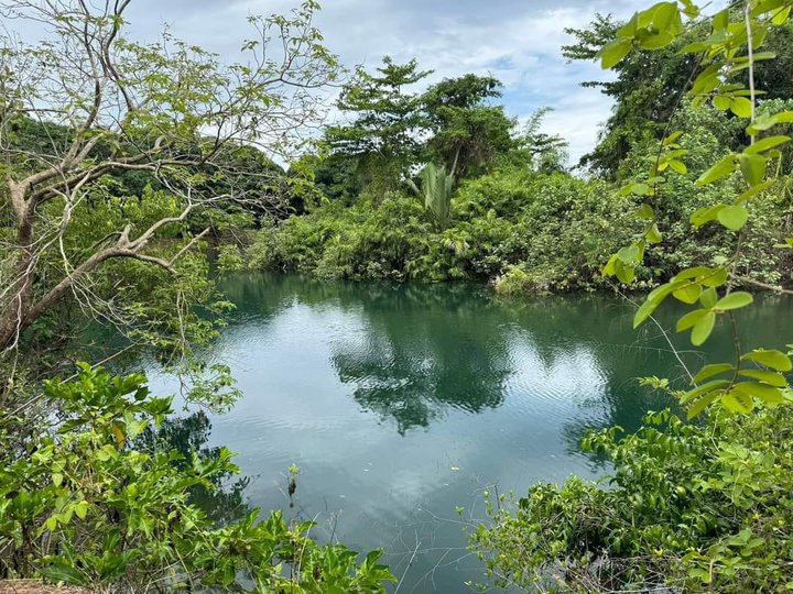 4,615 sqm Residential Farm Along Riverside For Sale in Iba Zambales [Lot 🚜] (June 2024) in Iba