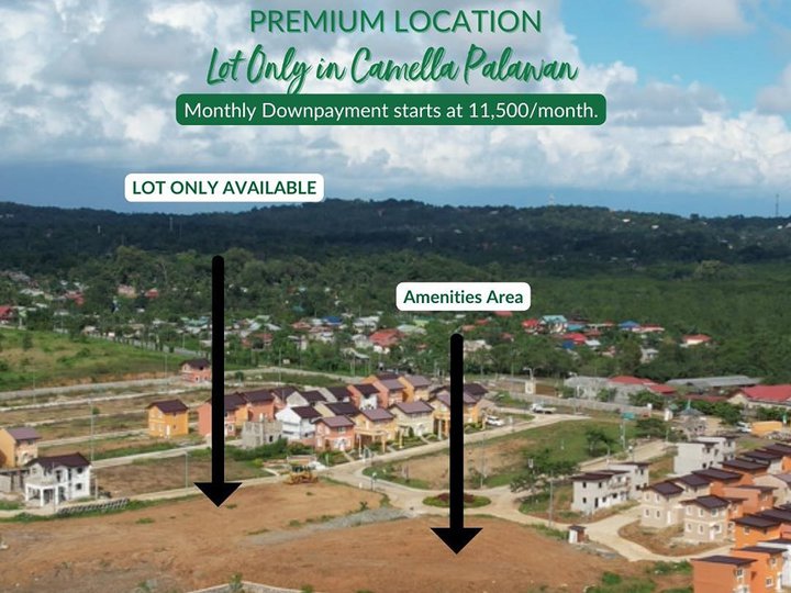 80 sqm Residential Lot For Sale in Puerto Princesa Palawan