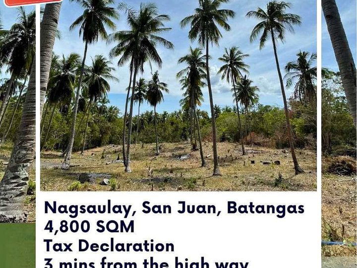 4,500 sqm Residential Farm For Sale in San Juan Batangas