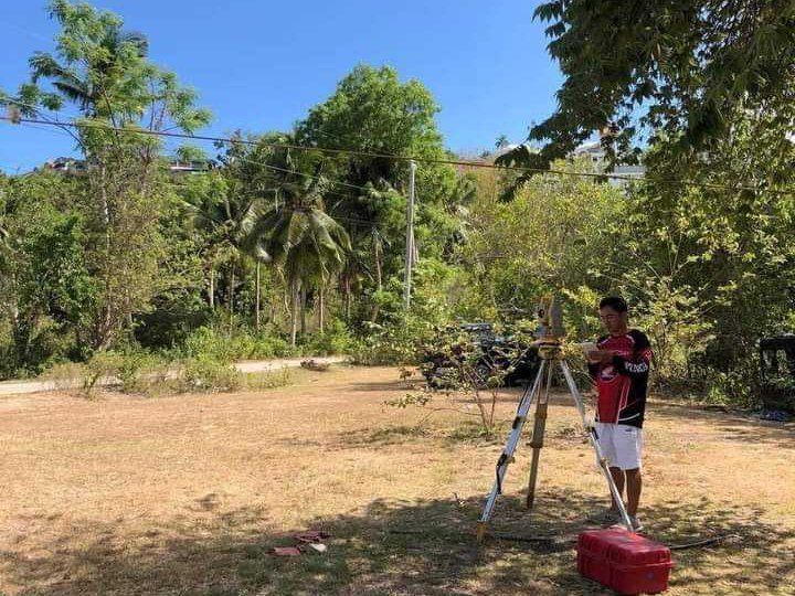 305 sqm Residential Lot For Sale in Dauis Bohol