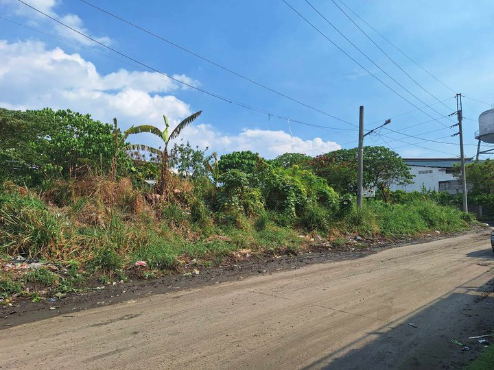 Industrial Lot for warehouse in Plastic City Valenzuela for sale