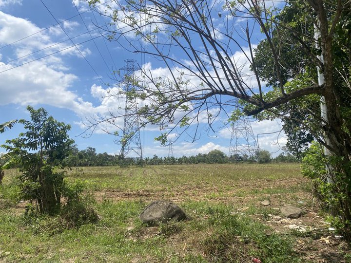 3,000 sqm Lot Along Nat'l Highway For Sale in Manolo Fortich Bukidnon