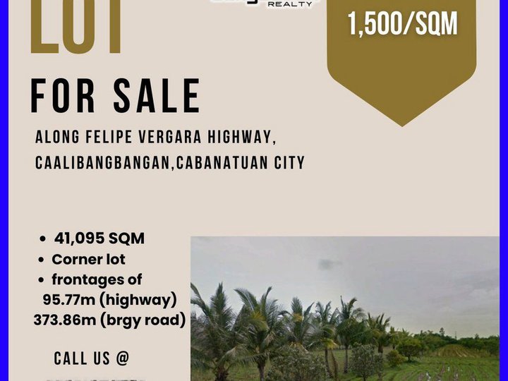 LOT FOR SALE ALONG THE HIGHWAY,  ALONG FELIPE VERGARA HIGHWAY, CABANATUAN CITY