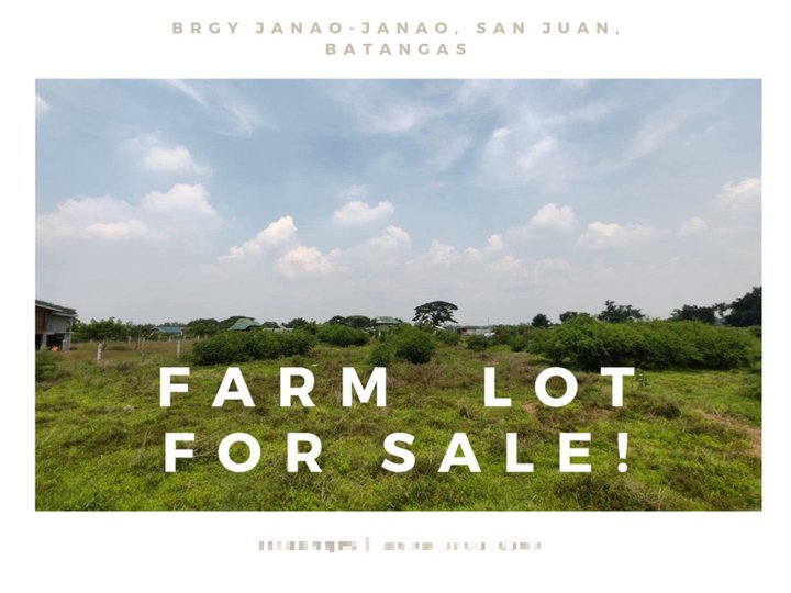 Farm Lot 1000sqm Good for Glamping/Camping/Rest House/Air BNB etc