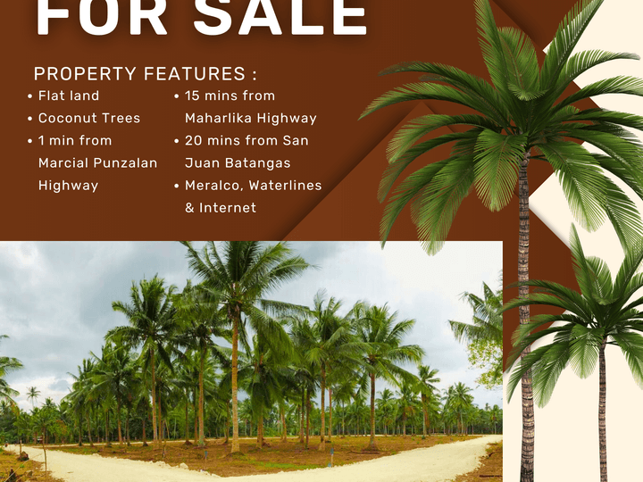 MURANG COCONUT FARM SA TIAONG QUEZON WITH DISCOUNT