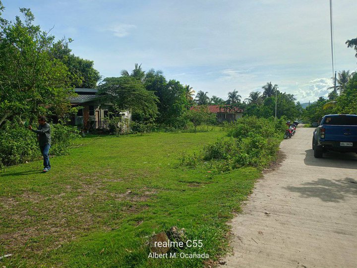 531 sqm Residential Lot For Sale in Dauis Bohol