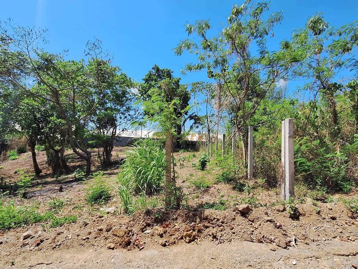 200 sqm Residential Lot For Sale in Indang Cavite