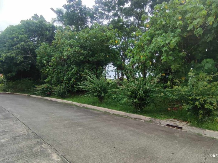 923 sqm Residential Farm For Sale in Silang Cavite