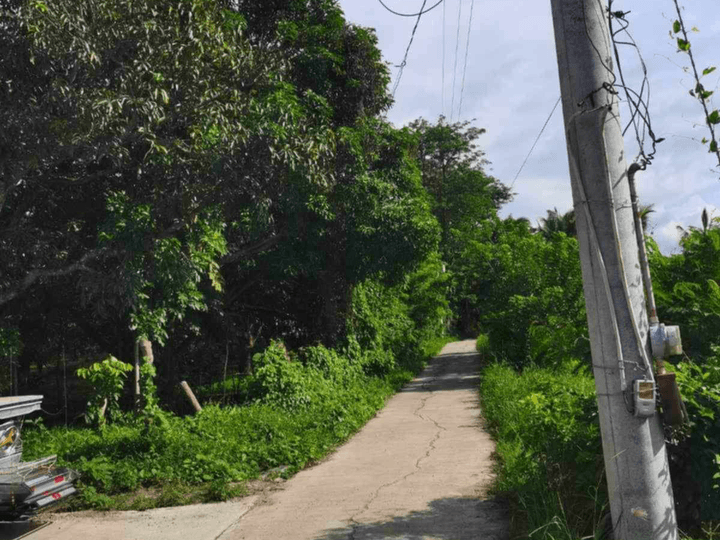 Agricultural Lot For Sale in Batangas