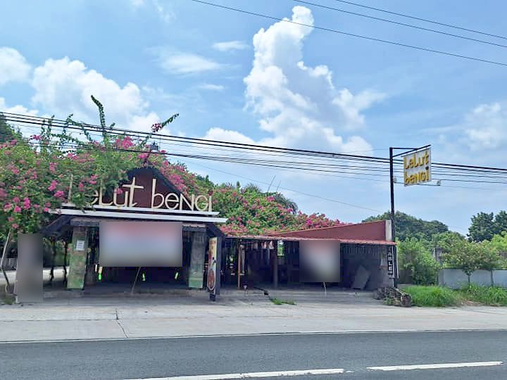1,500 sqm Commercial Lot For Sale in Floridablanca Pampanga
