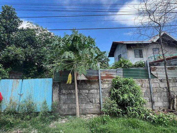 FOR SALE RESIDENTIAL LOT IN MEXICO PAMPANGA NEAR MARQUEE MALL