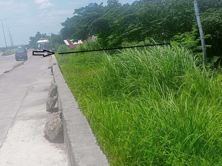 Commercial Lot along CCLEX only 6,500 per sqM in Cordova, Cebu