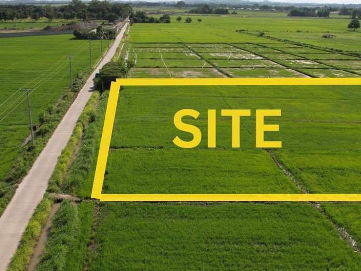 Subdivided Farmlots for Sale in San Francisco, San Miguel, Tarlac