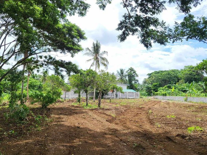 Residential farmlot  located Alulod, Indang, Cavite.