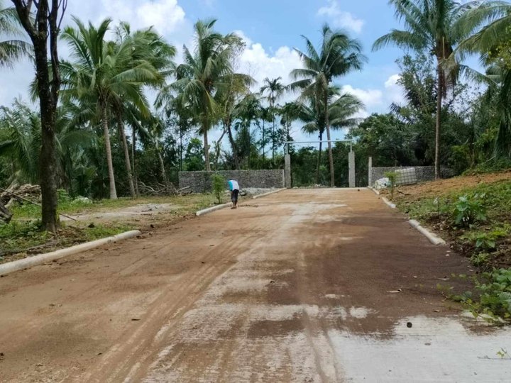 Lot near Sonyas Garden for Sale