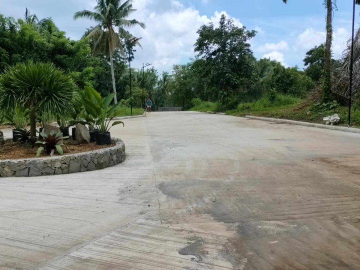 Farm lot for sale with fruit bearing trees 550 sqm Cavite