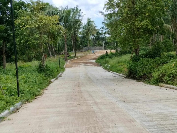 Lot for Sale in BRGY KAYTITINGA ALFONSO CAVITE